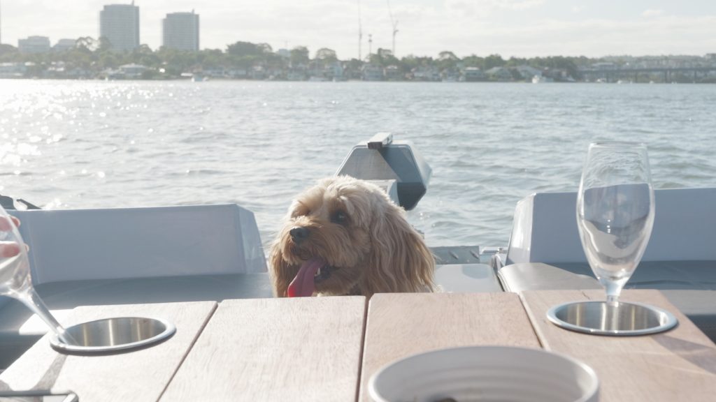 Copy of V1-0199_V Photos00294465